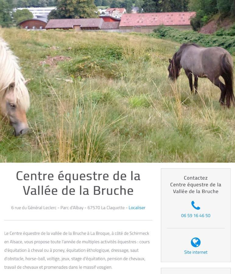 Le Gite Du Chateau Dans Le Centre De Schirmeck Luaran gambar